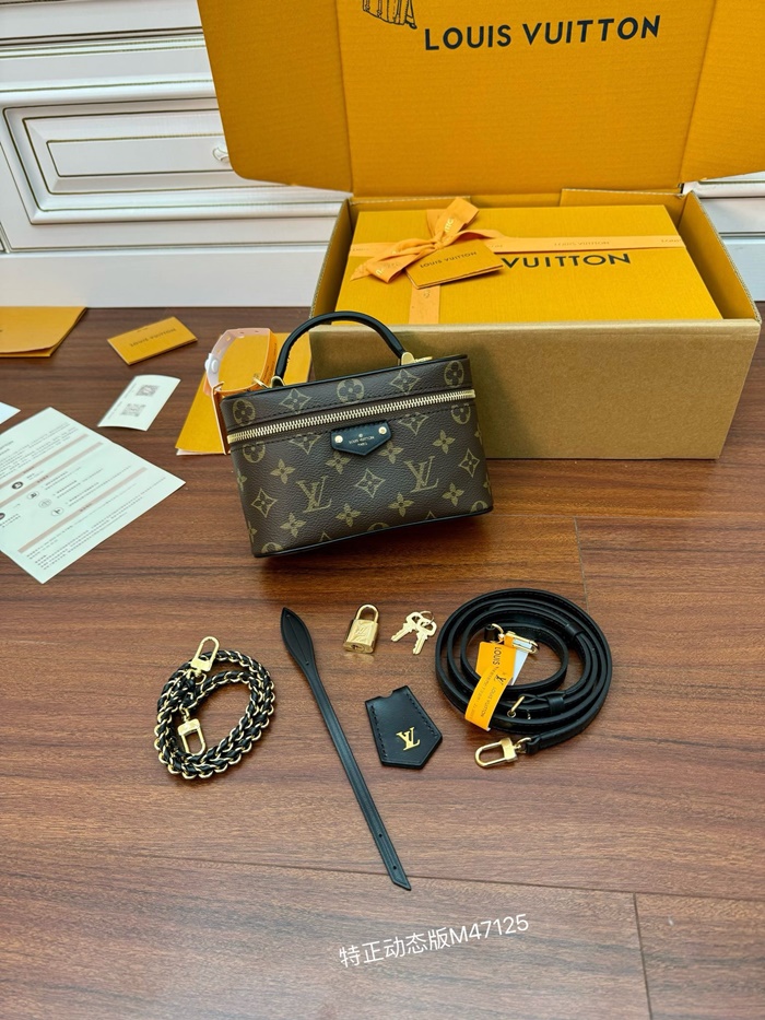 Louis vuitton 루이비통 여성 베니티 체인 파우치