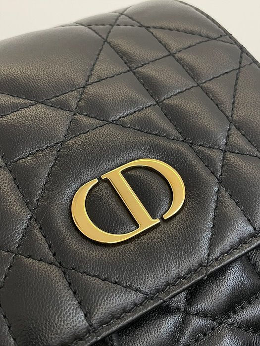  DIOR 디올 카로 백팩 미디움