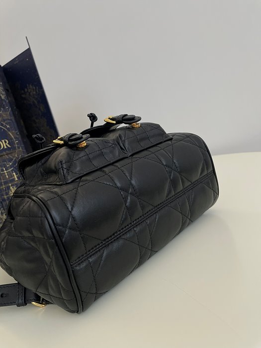  DIOR 디올 카로 백팩 미디움