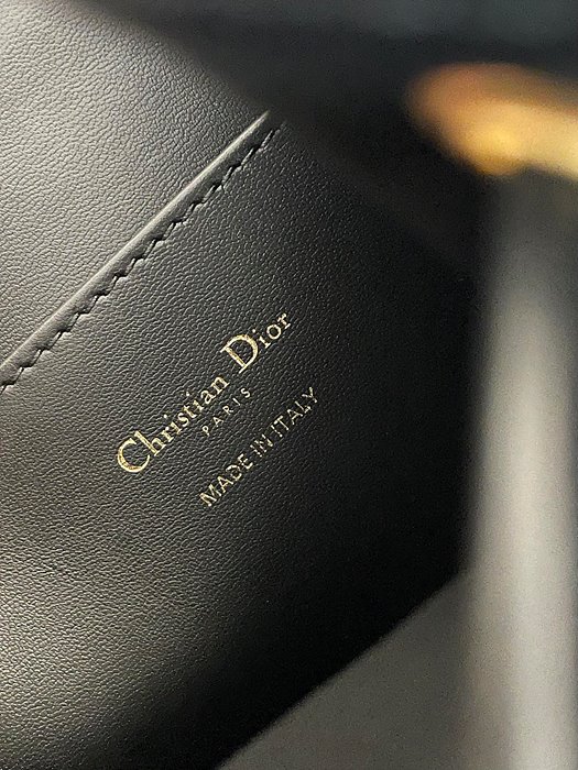  DIOR 디올 카로 백팩 미디움
