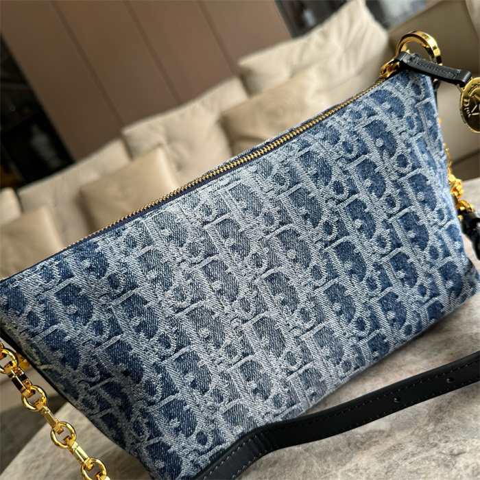 DIOR 디올 오블리크 스타 체인 호보백 S3202 2024/신상