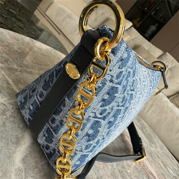 DIOR 디올 오블리크 스타 체인 호보백 S3202 2024/신상