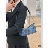 DIOR 디올 오블리크 스타 체인 호보백 S3202 2024/신상