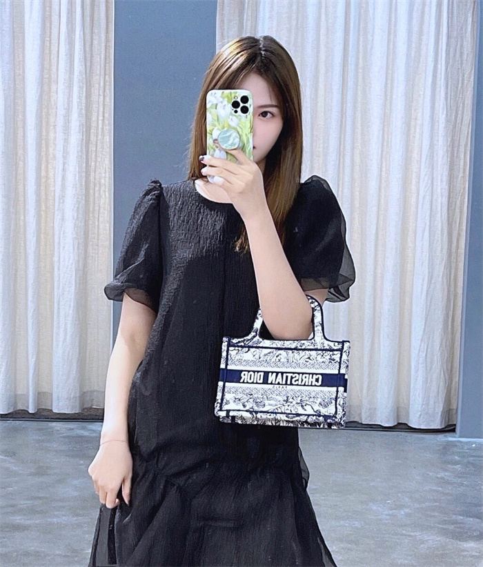 DIOR 디올 미니 북 토트백 M113865 2024/신상