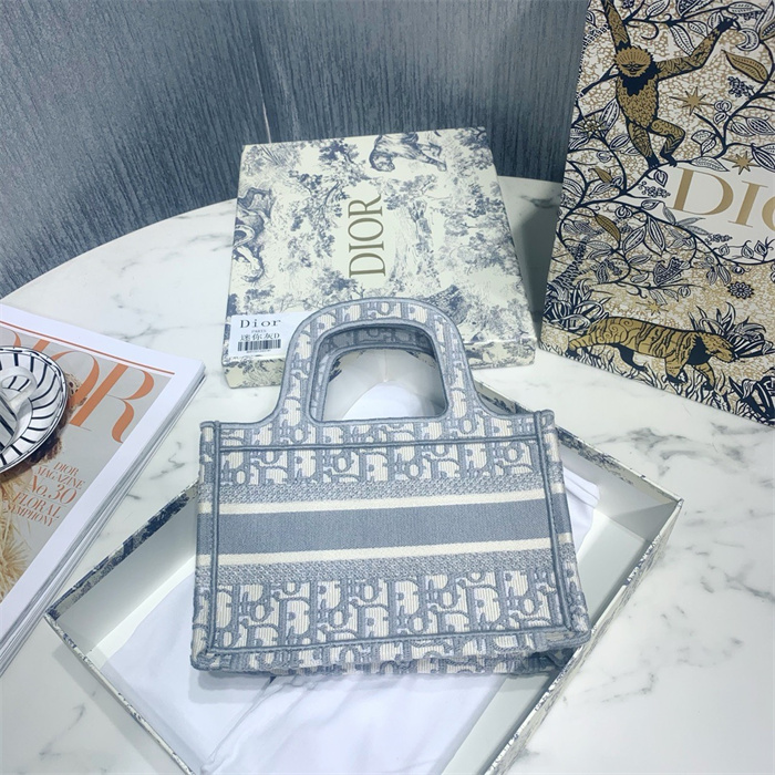 DIOR 디올 미니 북 토트백 M113865 2024/신상