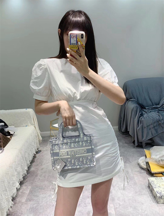 DIOR 디올 미니 북 토트백 M113865 2024/신상