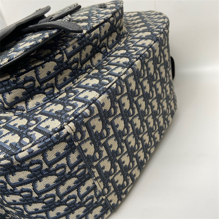 DIOR 디올 갤럽 라지 백팩 M9048 2024/신상