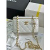 CHANEL 샤넬 파우치백 17CM AS96106 2024/신상 2color