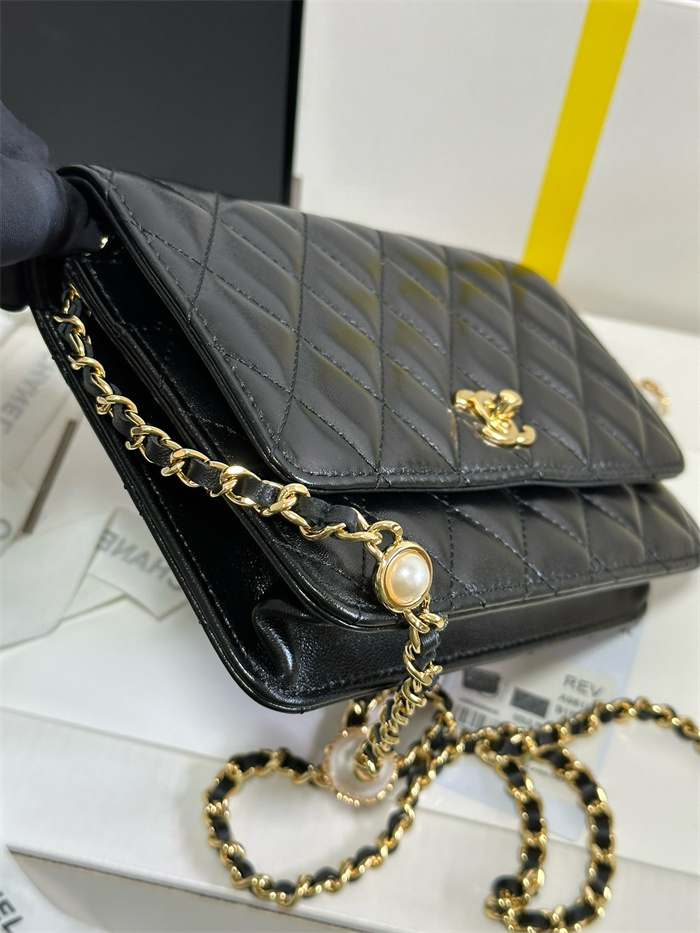 CHANEL 샤넬 WOC 19CM AS96104 2024/신상 2color