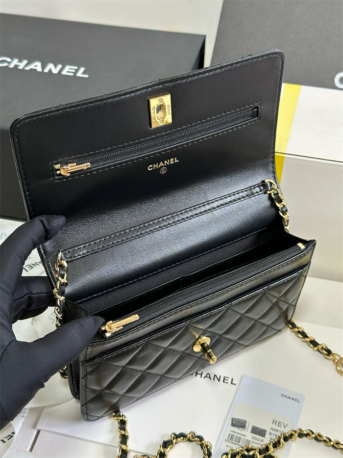 CHANEL 샤넬 WOC 19CM AS96104 2024/신상 2color