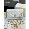 CHANEL 샤넬 WOC 19CM AS96104 2024/신상 2color