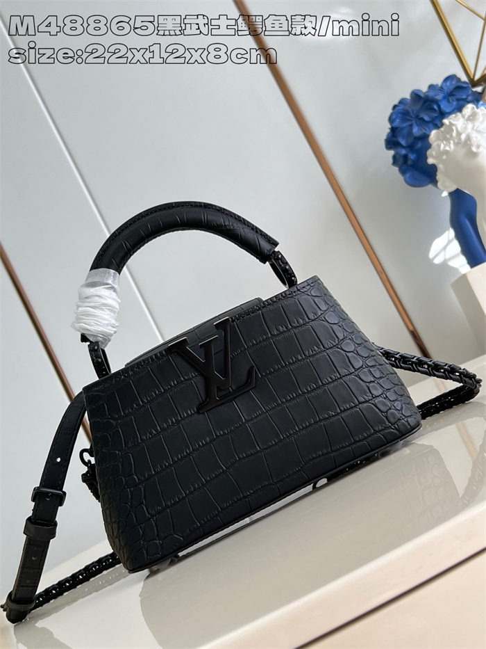 LOUIS VUITTON 루이비통 카푸신 미니 M48865 2024/신상 2color
