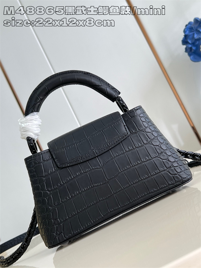 LOUIS VUITTON 루이비통 카푸신 미니 M48865 2024/신상 2color