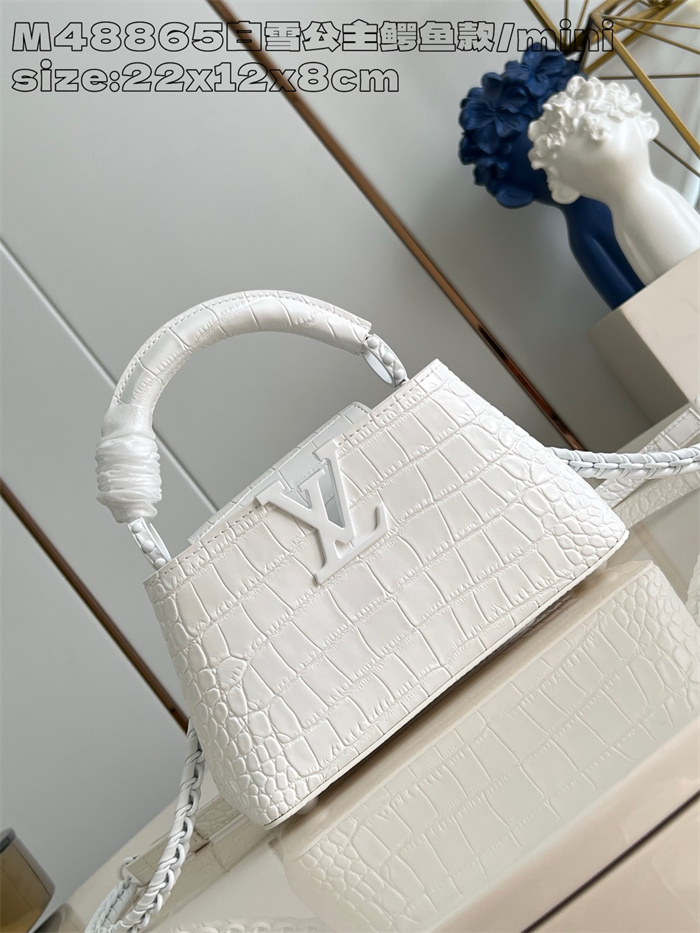 LOUIS VUITTON 루이비통 카푸신 미니 M48865 2024/신상 2color