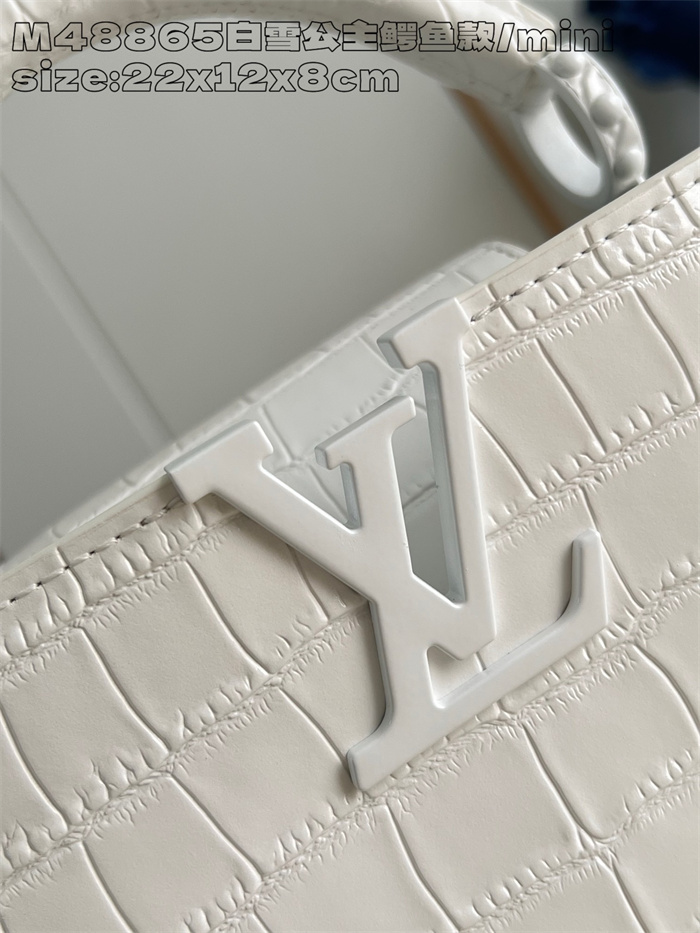 LOUIS VUITTON 루이비통 카푸신 미니 M48865 2024/신상 2color