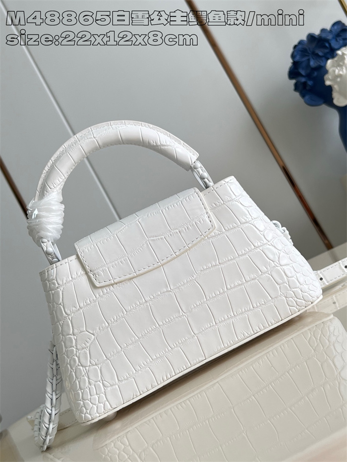 LOUIS VUITTON 루이비통 카푸신 미니 M48865 2024/신상 2color