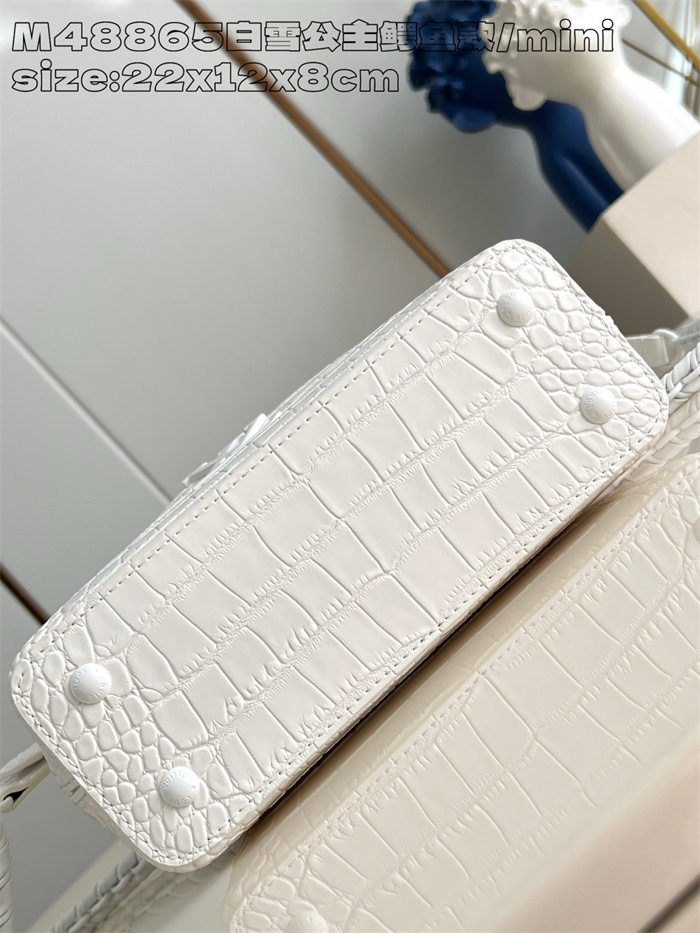 LOUIS VUITTON 루이비통 카푸신 미니 M48865 2024/신상 2color
