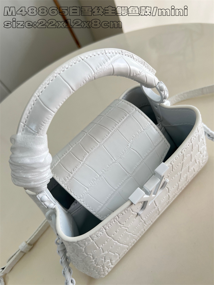 LOUIS VUITTON 루이비통 카푸신 미니 M48865 2024/신상 2color