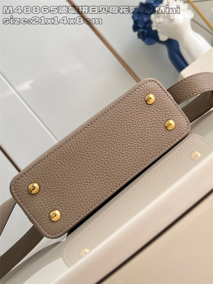 LOUIS VUITTON 루이비통 카푸신 미니 M48865 2024/신상