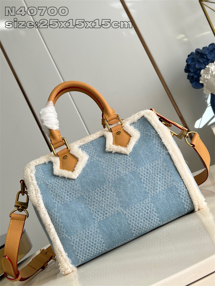 LOUIS VUITTON 루이비통 스피디 반둘리에 25 숄더백 N40700 2024/신상