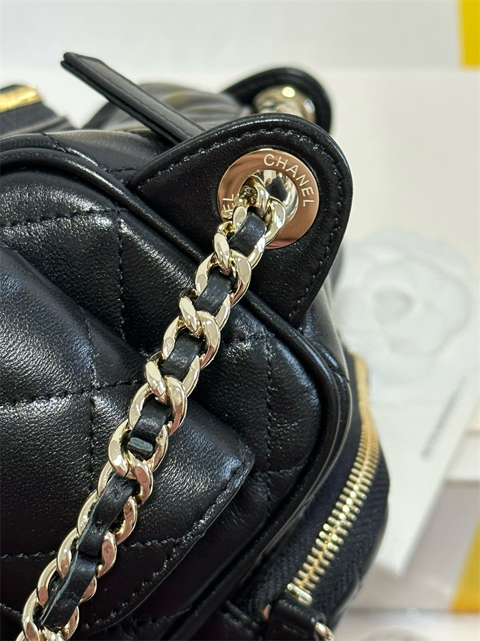  CHANEL 샤넬 스몰 카메라 케이스백 AS5220 2024/신상