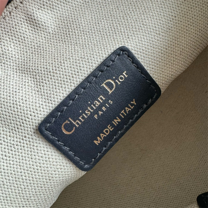 DIOR 디올 트래블 노마드 파우치 미디엄 S5554