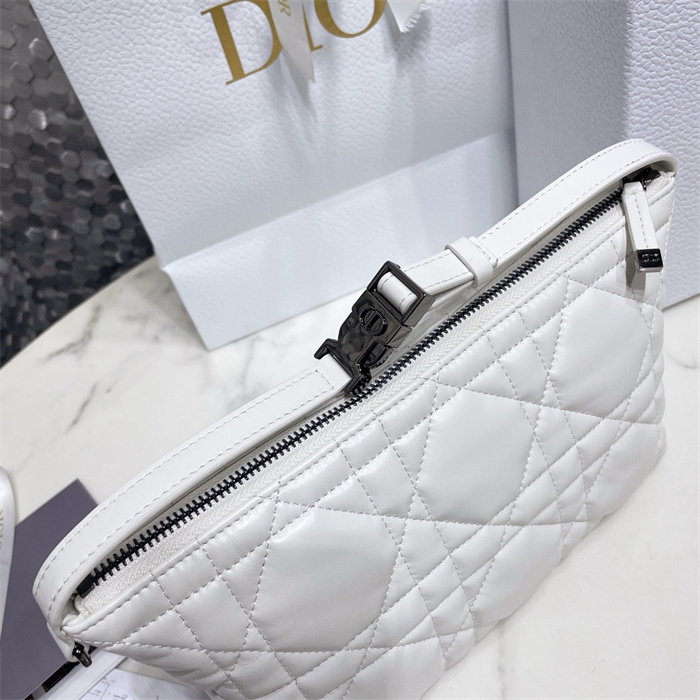 DIOR 디올 트래블 노마드 파우치 미디엄 S5554