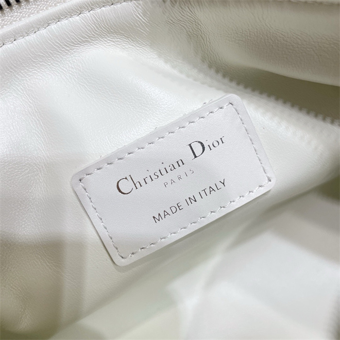 DIOR 디올 트래블 노마드 파우치 미디엄 S5554