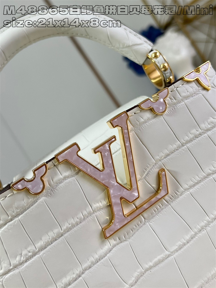 LOUIS VUITTON 루이비통 카푸신 미니 M48865 2024/신상