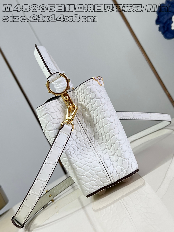 LOUIS VUITTON 루이비통 카푸신 미니 M48865 2024/신상