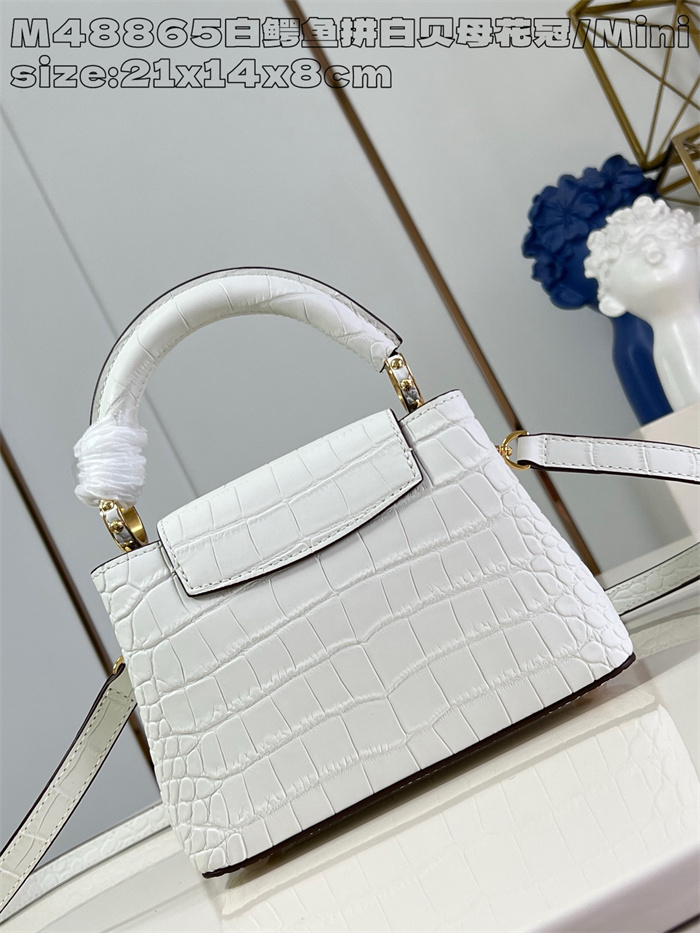 LOUIS VUITTON 루이비통 카푸신 미니 M48865 2024/신상