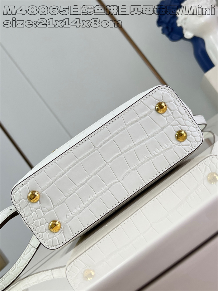 LOUIS VUITTON 루이비통 카푸신 미니 M48865 2024/신상