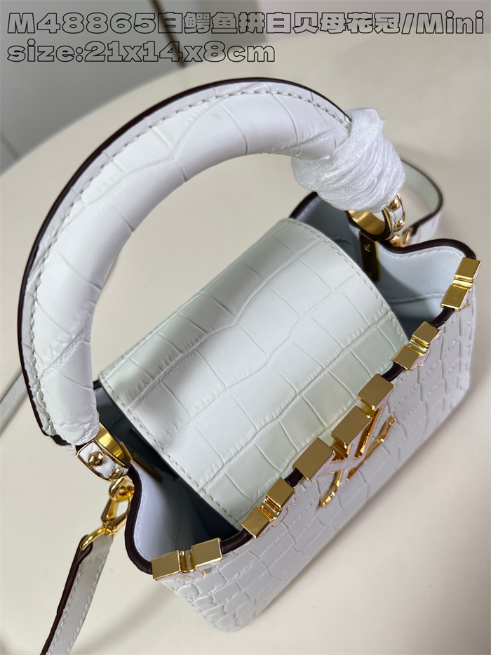 LOUIS VUITTON 루이비통 카푸신 미니 M48865 2024/신상