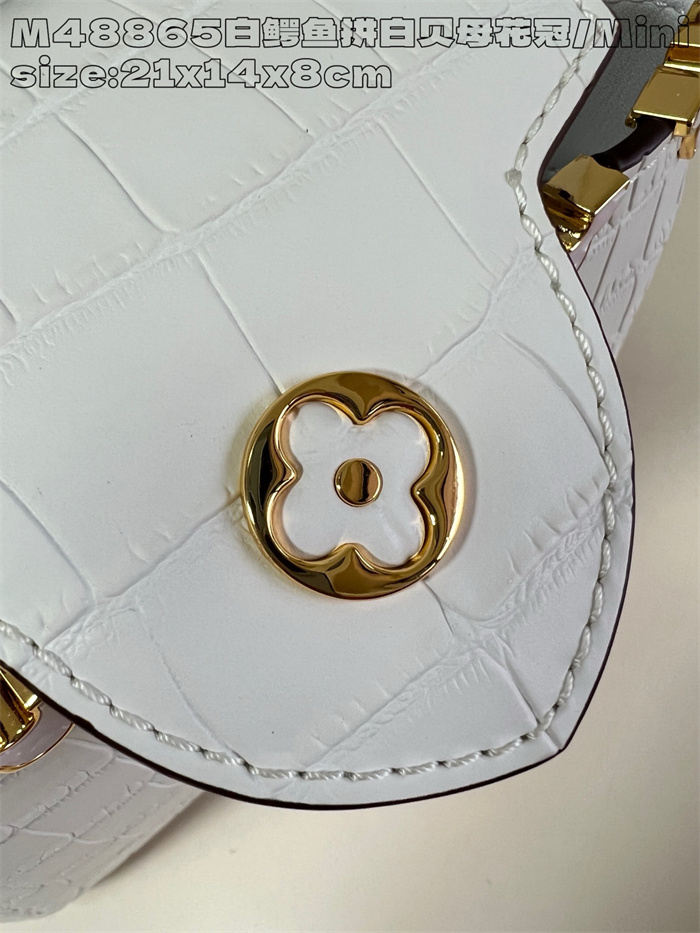 LOUIS VUITTON 루이비통 카푸신 미니 M48865 2024/신상