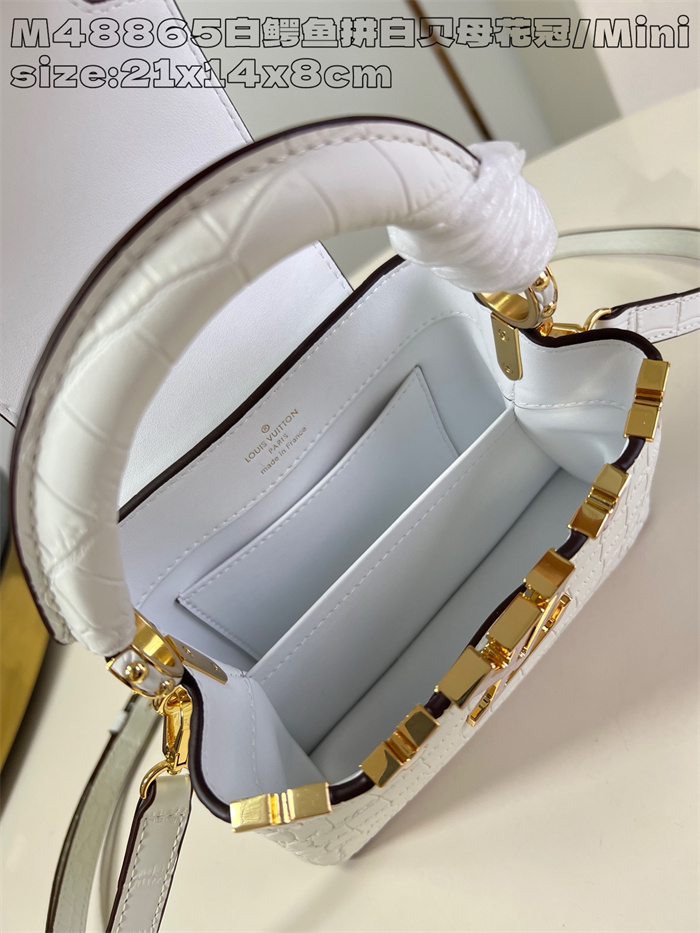 LOUIS VUITTON 루이비통 카푸신 미니 M48865 2024/신상