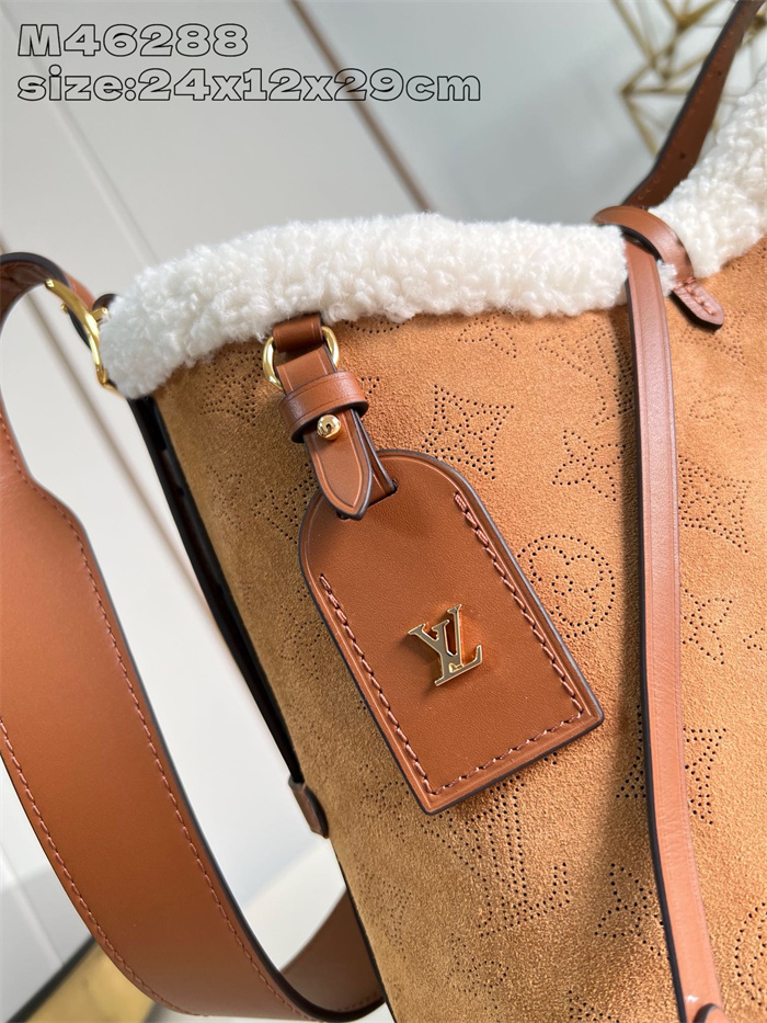 LOUIS VUITTON 루이비통 캐리올 숄더백 PM M46288 2024/신상