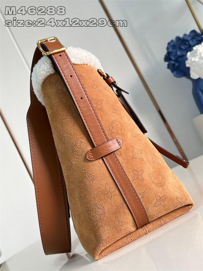 LOUIS VUITTON 루이비통 캐리올 숄더백 PM M46288 2024/신상