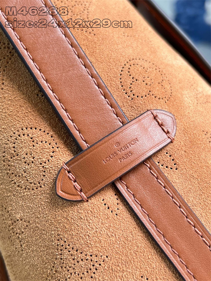 LOUIS VUITTON 루이비통 캐리올 숄더백 PM M46288 2024/신상