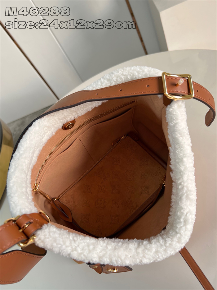LOUIS VUITTON 루이비통 캐리올 숄더백 PM M46288 2024/신상
