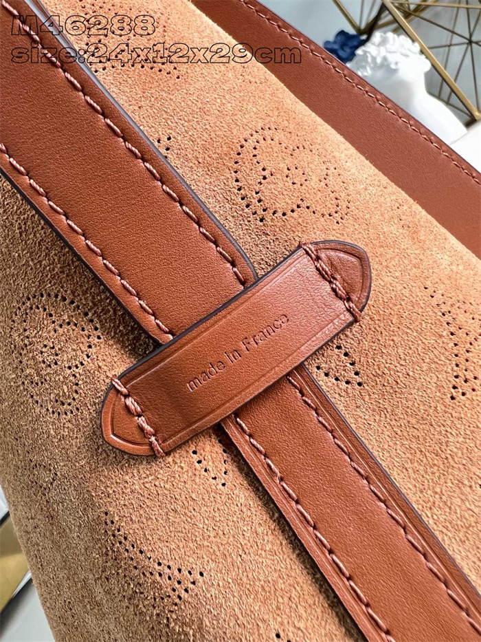 LOUIS VUITTON 루이비통 캐리올 숄더백 PM M46288 2024/신상