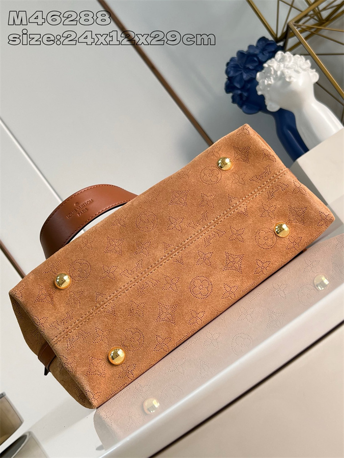LOUIS VUITTON 루이비통 캐리올 숄더백 PM M46288 2024/신상