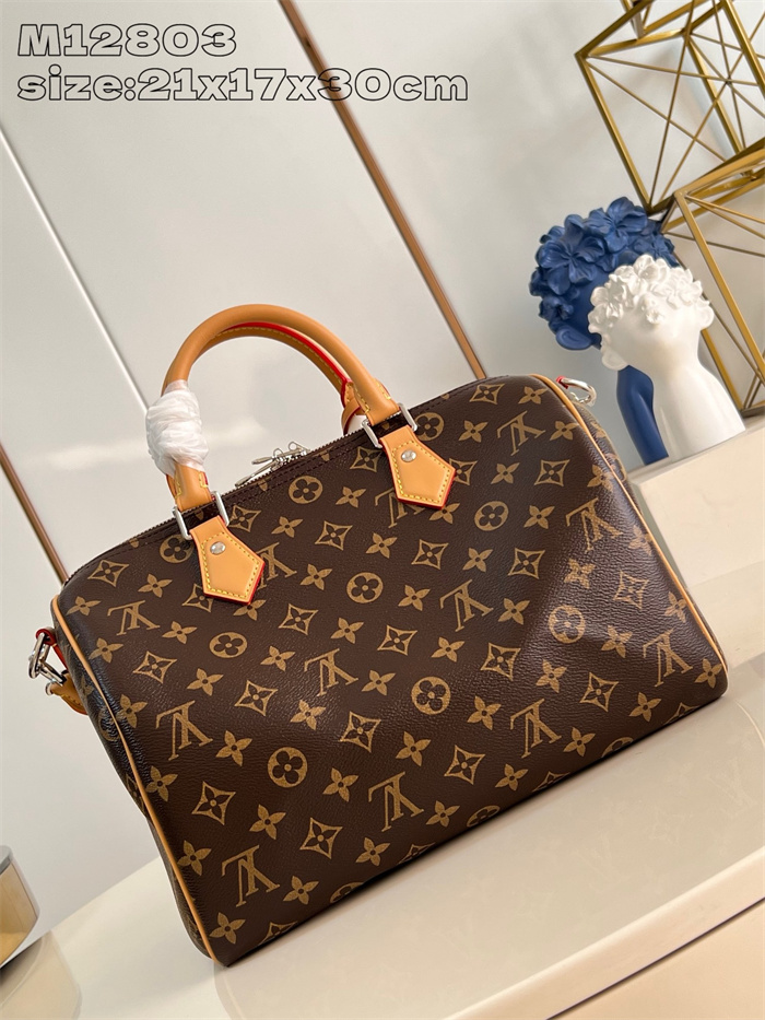 LOUIS VUITTON 루이비통 스피디 소프트 30 크래프티 토트백 M12803 2024/신상