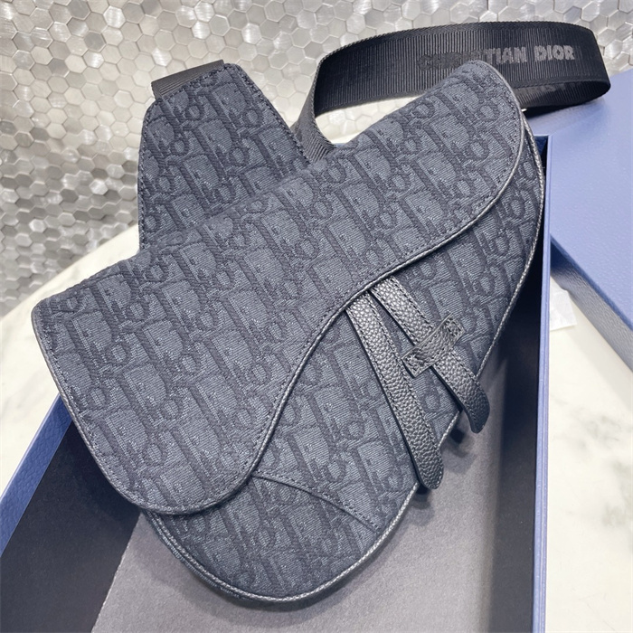 DIOR 디올 오블리크 새들백 M9001 2024/신상 2COLOR