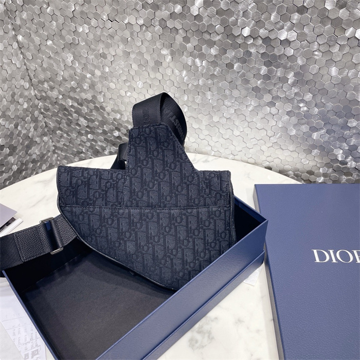 DIOR 디올 오블리크 새들백 M9001 2024/신상 2COLOR