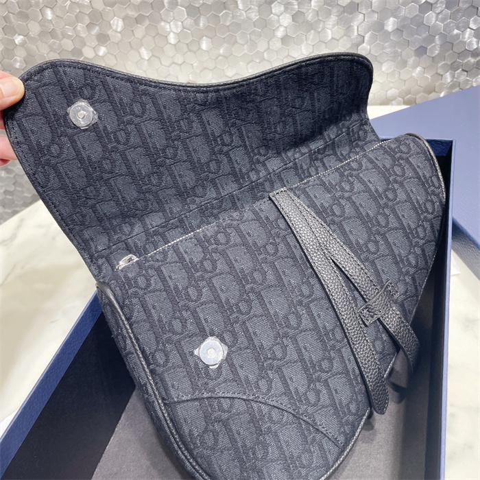 DIOR 디올 오블리크 새들백 M9001 2024/신상 2COLOR