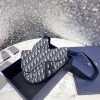 DIOR 디올 오블리크 새들백 M9001 2024/신상 2COLOR