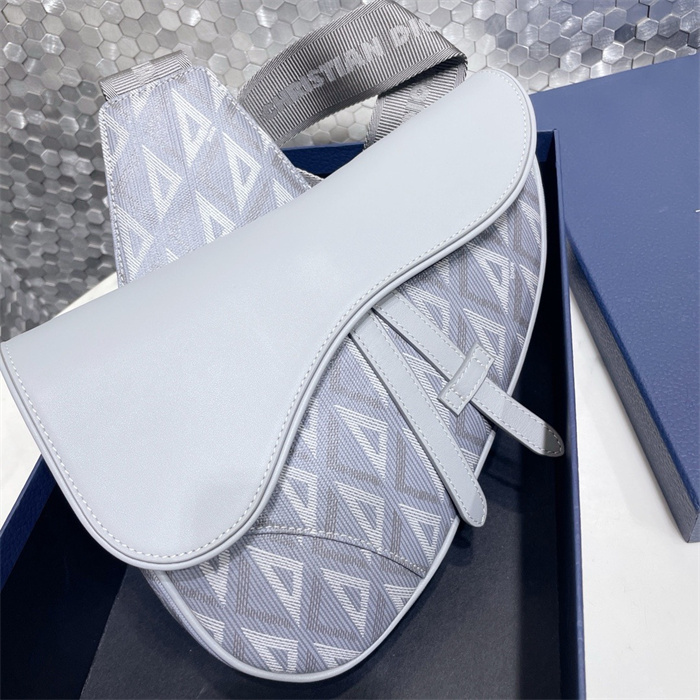 DIOR 디올 오블리크 새들백 M9922 2024/신상