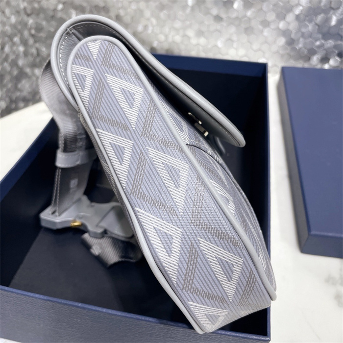 DIOR 디올 오블리크 새들백 M9922 2024/신상