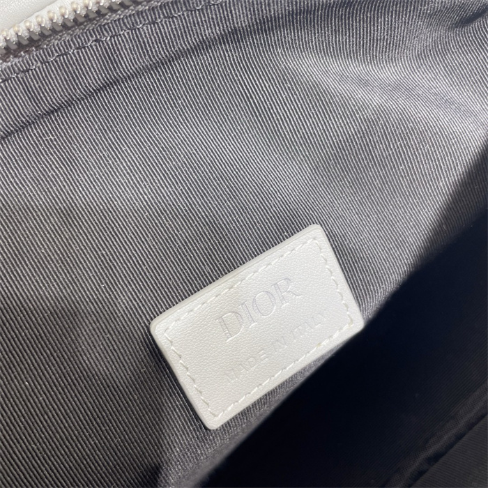DIOR 디올 오블리크 새들백 M9922 2024/신상