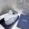 DIOR 디올 오블리크 새들백 M9922 2024/신상